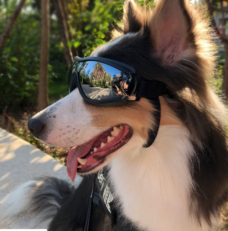 UV-Protective Dog Goggles – Waterproof, Windproof & Stylish Pet Eyewear
Protect your pup’s eyes in style! These dog goggles are built for adventure—offering UV protection, waterproofing, wind resistance, and comfort in one sporty package.