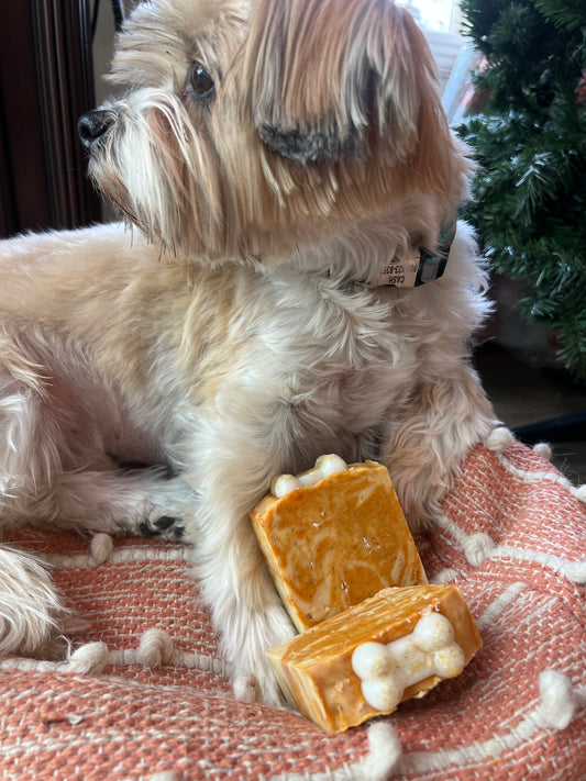 Natural Dog Shampoo