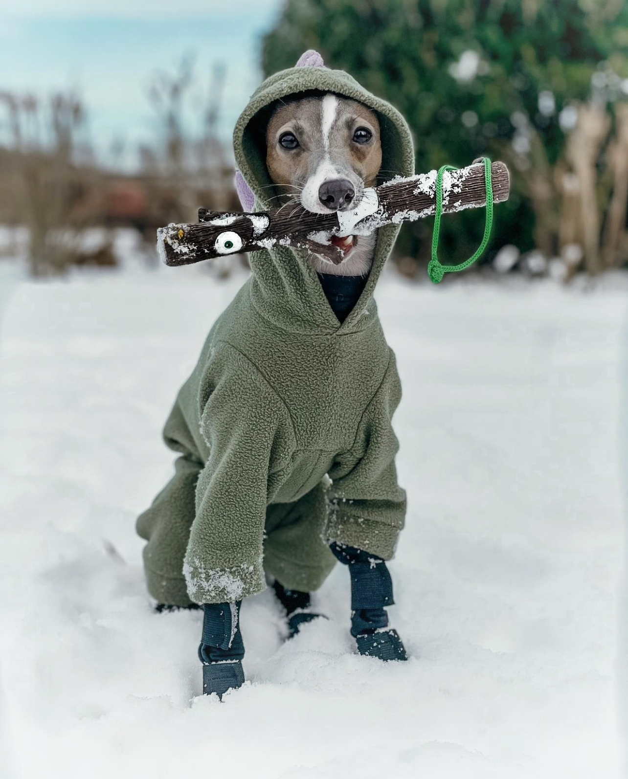 The DOOG STICK Family Fetch Toys